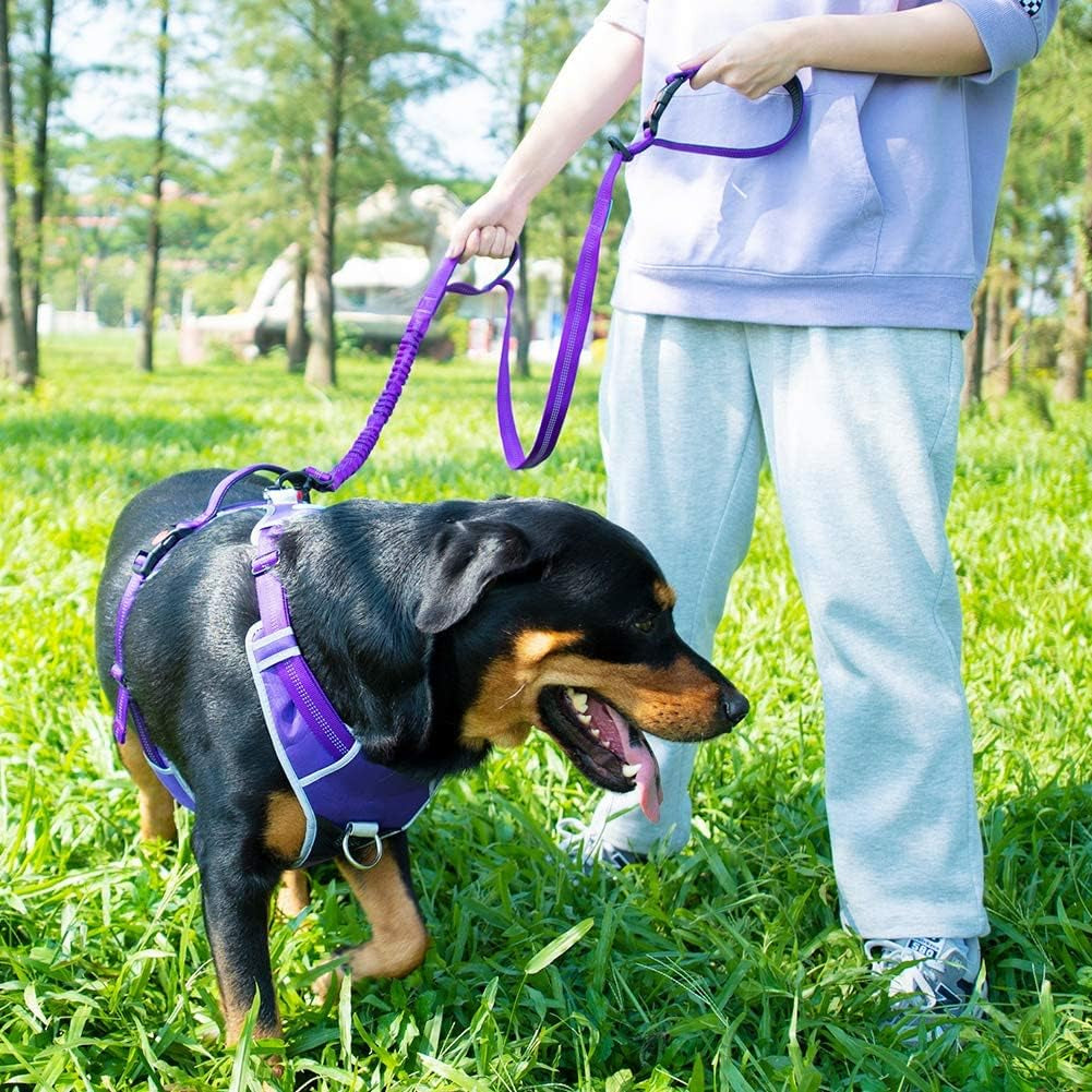 Dog Harness Leash Set, No Pull Dog Harness, Front Clip Dog Harness, Reflective Dog Vest, with 5 Ft Dual Handle Dog Leash, Padded Handles Bungee Training Dog Leash S Purple