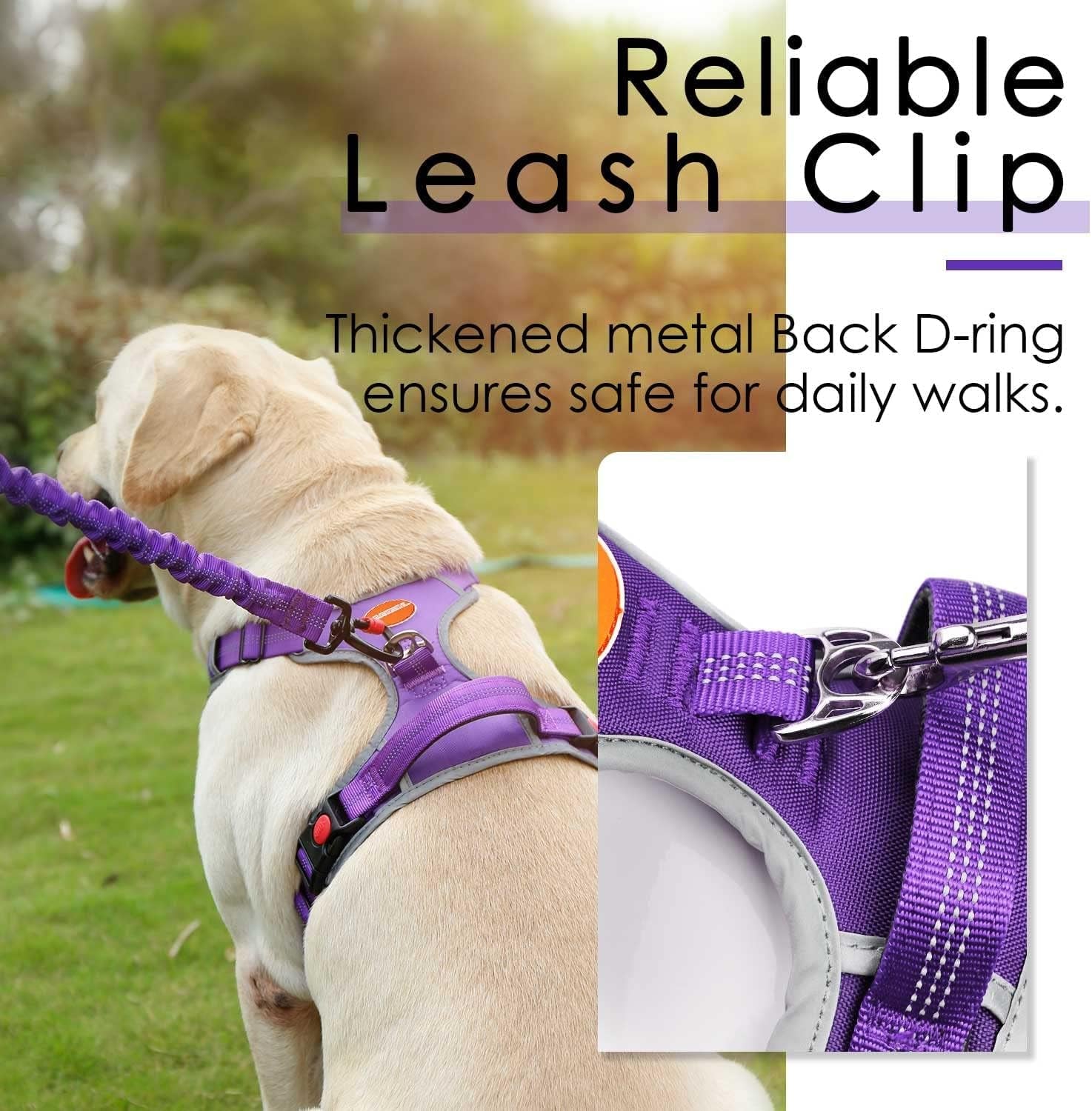Dog Harness Leash Set, No Pull Dog Harness, Front Clip Dog Harness, Reflective Dog Vest, with 5 Ft Dual Handle Dog Leash, Padded Handles Bungee Training Dog Leash S Purple