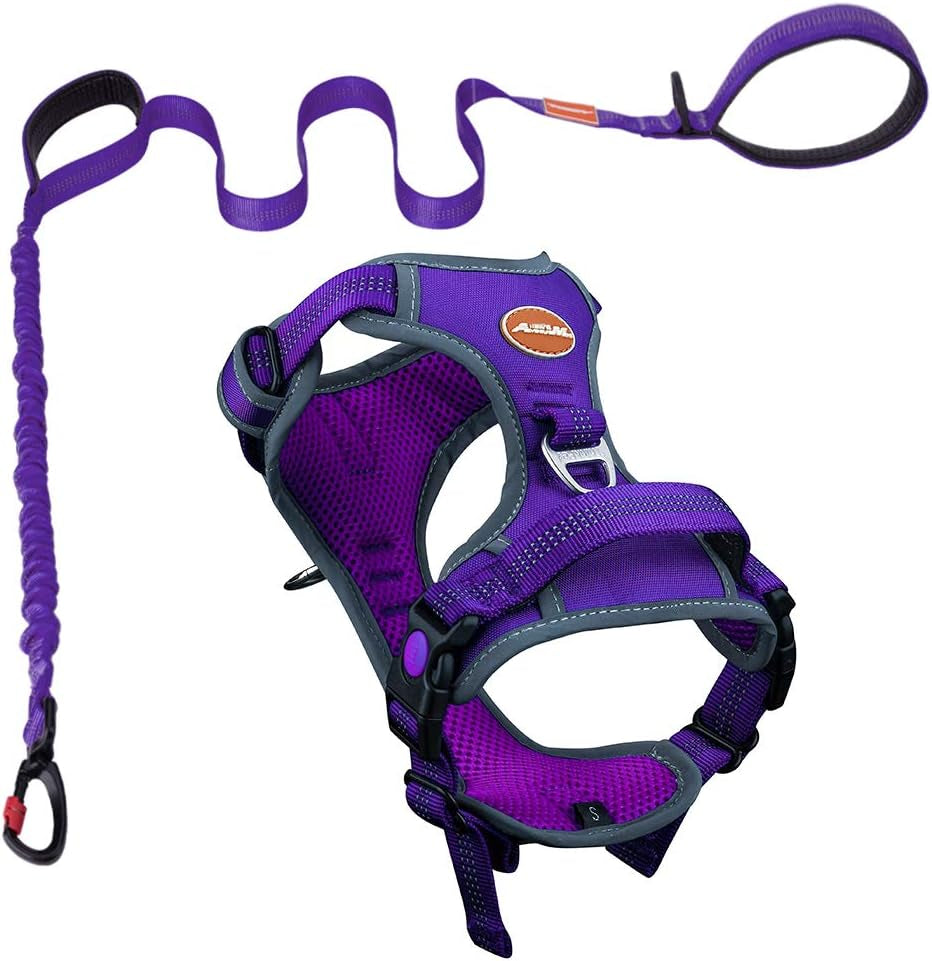 Dog Harness Leash Set, No Pull Dog Harness, Front Clip Dog Harness, Reflective Dog Vest, with 5 Ft Dual Handle Dog Leash, Padded Handles Bungee Training Dog Leash S Purple