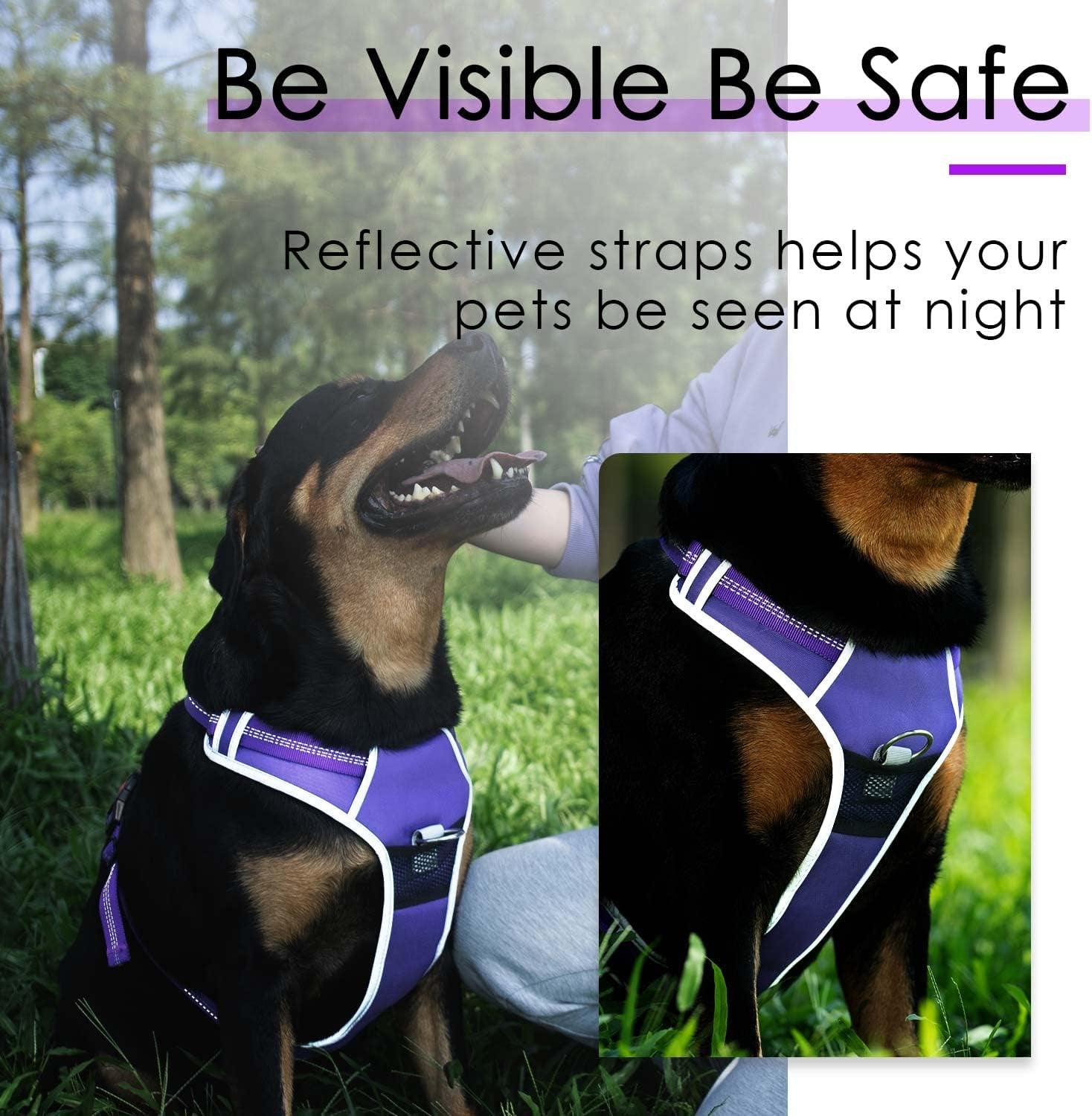 Dog Harness Leash Set, No Pull Dog Harness, Front Clip Dog Harness, Reflective Dog Vest, with 5 Ft Dual Handle Dog Leash, Padded Handles Bungee Training Dog Leash S Purple